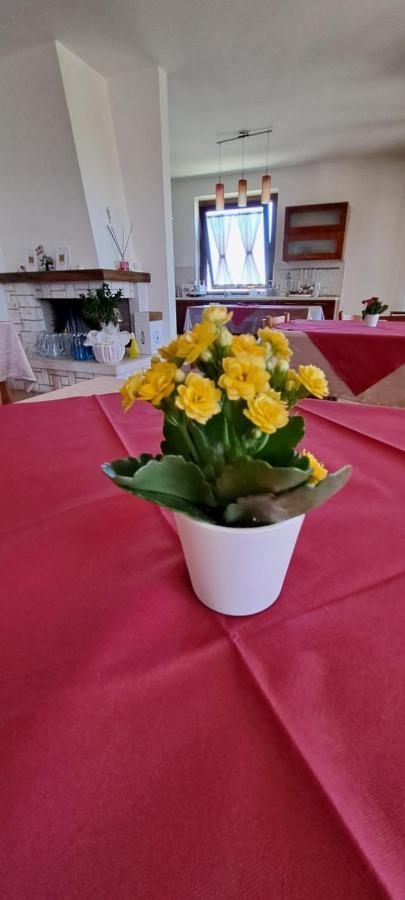 B & B Le Tre Rose Tollo Dış mekan fotoğraf