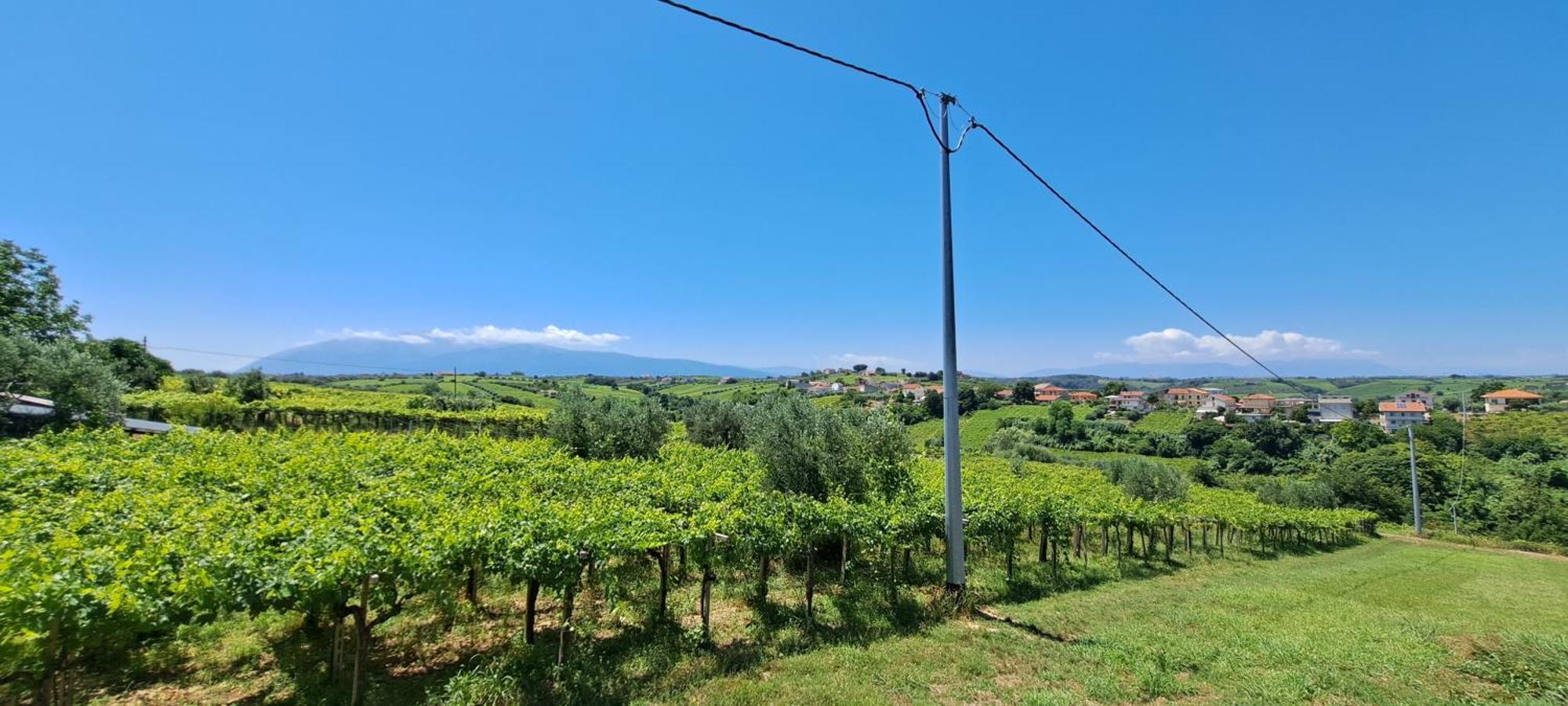 B & B Le Tre Rose Tollo Dış mekan fotoğraf